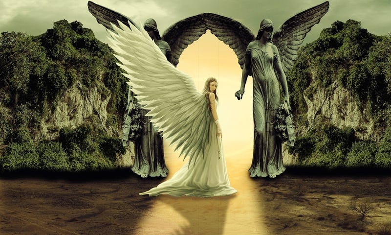 Celestial Haven